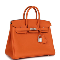 HE&ME Birkin 25 Orange Togo Palladium Hardware